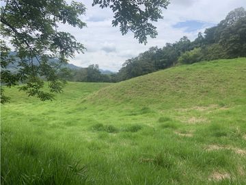 Finca Ganadera A La Venta Montenegro Quindio El Cuzco