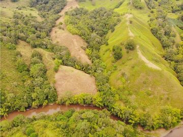 Finca Ganadera A La Venta Montenegro Quindio El Cuzco