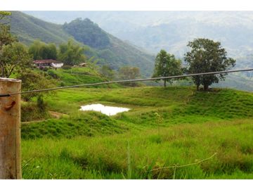 Finca Ganadera A La Venta Montenegro Quindio El Cuzco