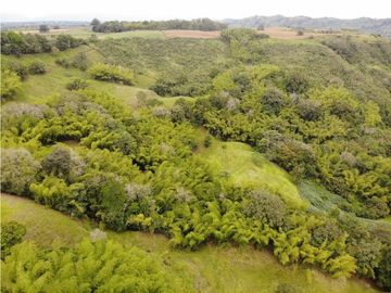 Finca Ganadera A La Venta Montenegro Quindio El Cuzco