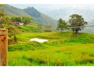 Finca Ganadera A La Venta Montenegro Quindio El Cuzco