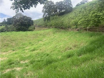 Finca Ganadera A La Venta Montenegro Quindio El Cuzco