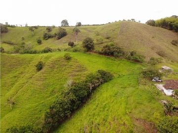 Finca Ganadera A La Venta Montenegro Quindio El Cuzco