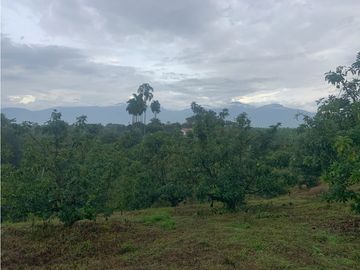 Se Vende Lote Sub-Urbano para Condominio Cerrado El Caimo Armenia