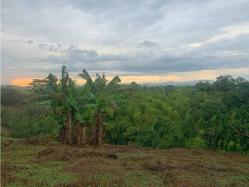 Se Vende Lote Sub-Urbano para Condominio Cerrado El Caimo Armenia