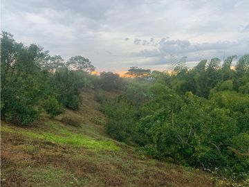 Se Vende Lote Sub-Urbano para Condominio Cerrado El Caimo Armenia
