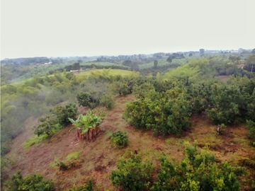 Se Vende Lote Sub-Urbano para Condominio Cerrado El Caimo Armenia