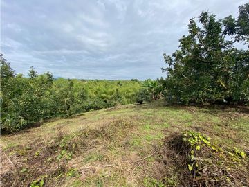 Se Vende Lote Sub-Urbano para Condominio Cerrado El Caimo Armenia