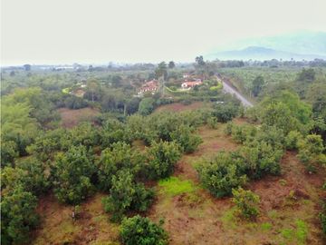 Se Vende Lote Sub-Urbano para Condominio Cerrado El Caimo Armenia