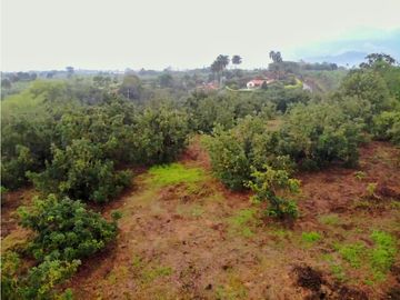 Se Vende Lote Sub-Urbano para Condominio Cerrado El Caimo Armenia