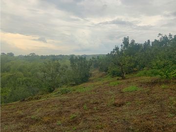 Se Vende Lote Sub-Urbano para Condominio Cerrado El Caimo Armenia