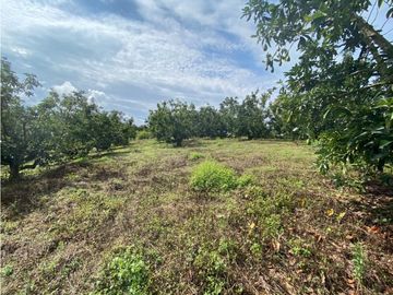 Se Vende Lote Sub-Urbano para Condominio Cerrado El Caimo Armenia