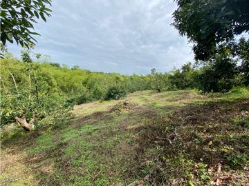 Se Vende Lote Sub-Urbano para Condominio Cerrado El Caimo Armenia