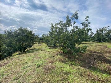 Se Vende Lote Sub-Urbano para Condominio Cerrado El Caimo Armenia