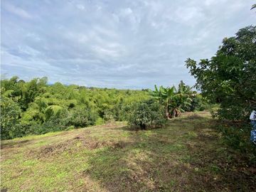 Se Vende Lote Sub-Urbano para Condominio Cerrado El Caimo Armenia