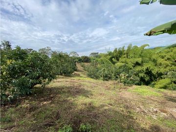 Se Vende Lote Sub-Urbano para Condominio Cerrado El Caimo Armenia