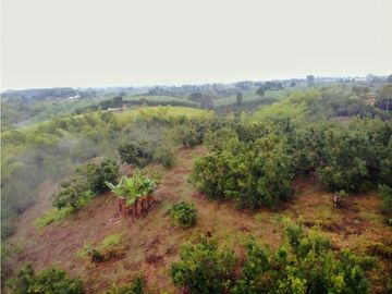 Se Vende Lote Sub-Urbano para Condominio Cerrado El Caimo Armenia