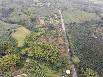 Se Vende Lote Sub-Urbano para Condominio Cerrado El Caimo Armenia