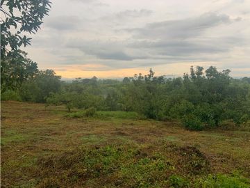 Se Vende Lote Sub-Urbano para Condominio Cerrado El Caimo Armenia