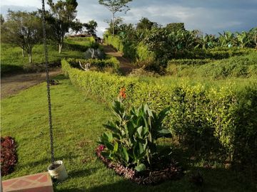 VENTA CASA CAMPESTRE VIA  QUIMBAYA  ALCALA (V.)
