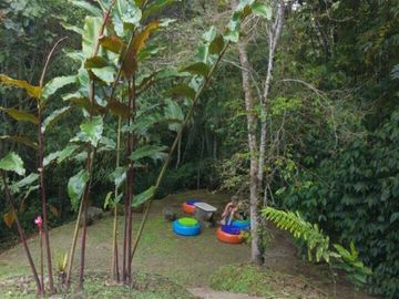 VENTA CASA CAMPESTRE - VERDEDA BORODINO - VIA PEREIRA