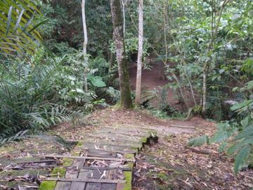 VENTA CASA CAMPESTRE - VERDEDA BORODINO - VIA PEREIRA