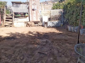 TERRENO PLANO CON CASA PARA REMODELAR CERCA PLAN