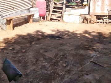 TERRENO PLANO CON CASA PARA REMODELAR CERCA PLAN