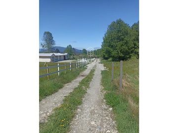 PARCELA CON LUZ Y AGUA 15 MIN DEL CENTRO PANGUIPULLI
