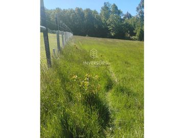 PARCELA CON LUZ Y AGUA 15 MIN DEL CENTRO PANGUIPULLI