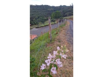 SE VENDE PARCELA EN SAN GIL SANTANDER