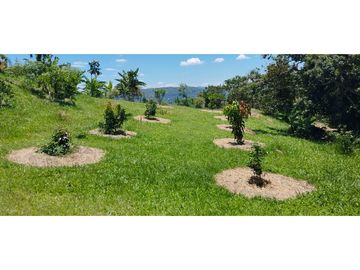 SE VENDE PARCELA EN SAN GIL SANTANDER
