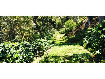 SE VENDE PARCELA EN SAN GIL SANTANDER