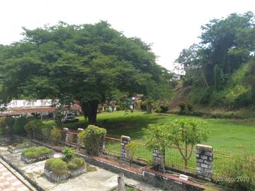 Vendo Hotel La Felisa Dep de Caldas