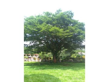 Vendo Hotel La Felisa Dep de Caldas
