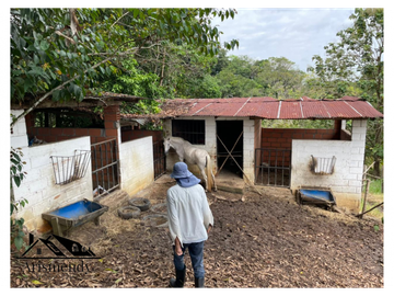 PARCELAS CALIFORNIA EN SONSÓN ANTIOQUIA, VEREDA DORADAL