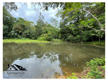 PARCELAS CALIFORNIA EN SONSÓN ANTIOQUIA, VEREDA DORADAL