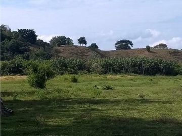 FINCA ENTRE PUERTO BOYACA Y BOLIVAR