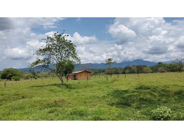 FINCA ENTRE PUERTO BOYACA Y BOLIVAR