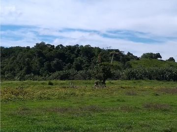 FINCA ENTRE PUERTO BOYACA Y BOLIVAR