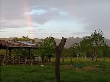 FINCA ENTRE PUERTO BOYACA Y BOLIVAR