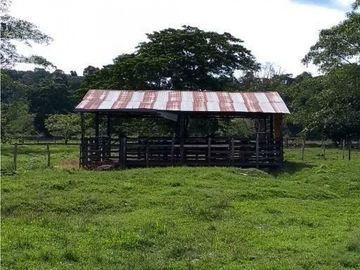 FINCA ENTRE PUERTO BOYACA Y BOLIVAR