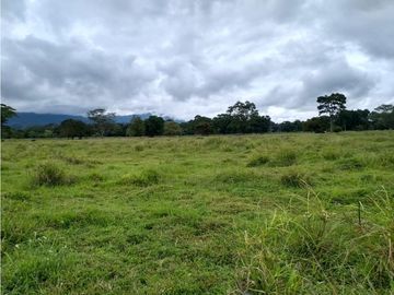 FINCA ENTRE PUERTO BOYACA Y BOLIVAR
