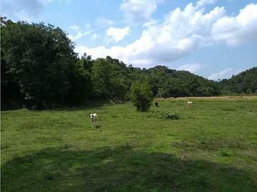 FINCA ENTRE PUERTO BOYACA Y BOLIVAR