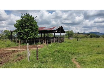 FINCA ENTRE PUERTO BOYACA Y BOLIVAR
