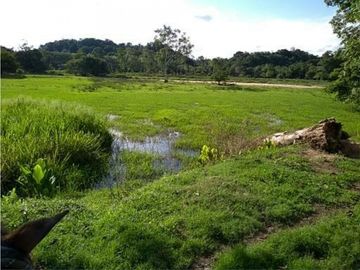 FINCA ENTRE PUERTO BOYACA Y BOLIVAR