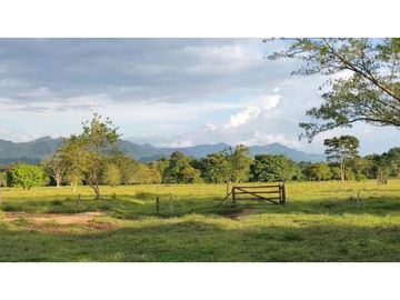 FINCA ENTRE PUERTO BOYACA Y BOLIVAR