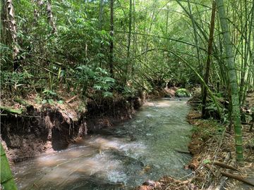 VENTA FINCA FAMILIAR Y DE TURISMO EN MONTENEGRO QUINDIO
