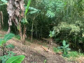 VENTA FINCA FAMILIAR Y DE TURISMO EN MONTENEGRO QUINDIO