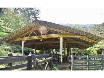 Venta Finca Girardota Corregimiento Cabildo Antioquia